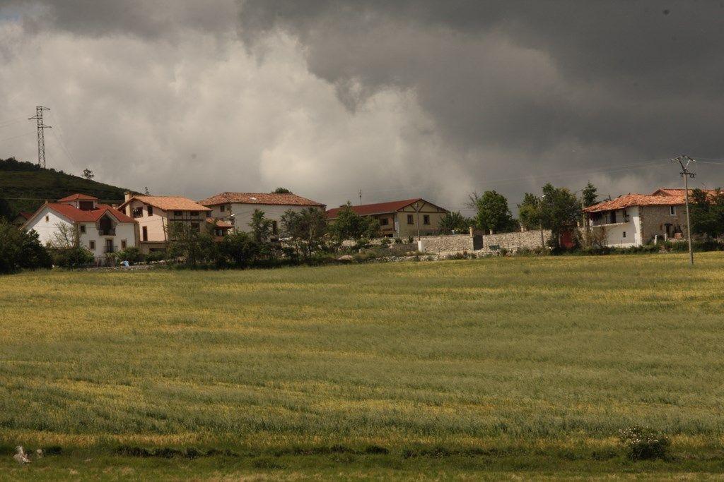 Fotografía de la galería de imágenes con id: 1080